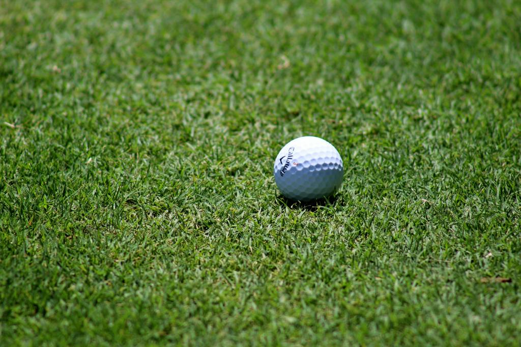 Golf ball on golf course green